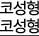 코성형
