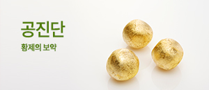 공진단 바로가기