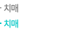 치매