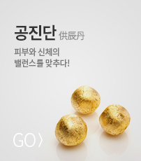 공진단 바로가기