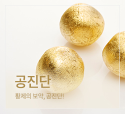 공진단 바로가기