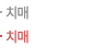치매