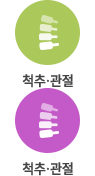 척추,관절